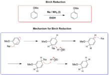 Birch Reduction Mechanism (With EDG)